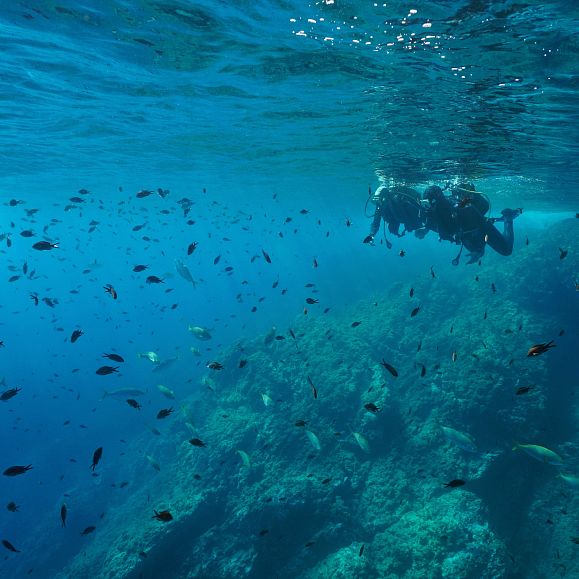 Submarinisme