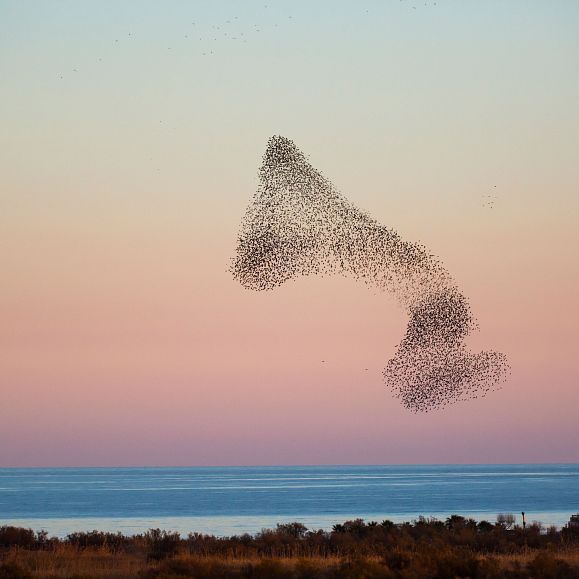 Parc Naturel des Aiguamolls de l'Emporda