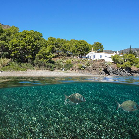 Cala Calís
