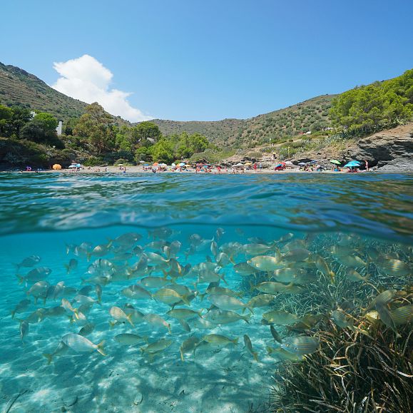 Cala Calitjàs