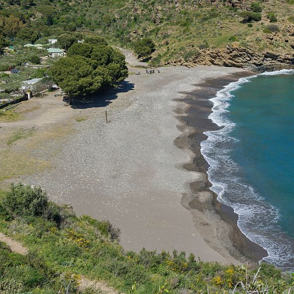 Cala Jòncols